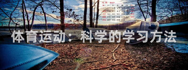 杏运集团股票