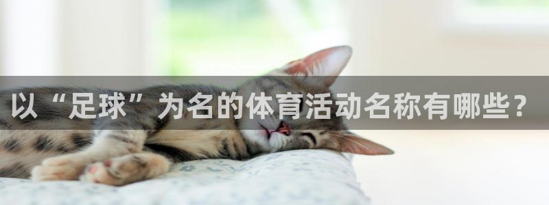 杏运娱乐代理