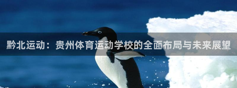杏运体育官网登录