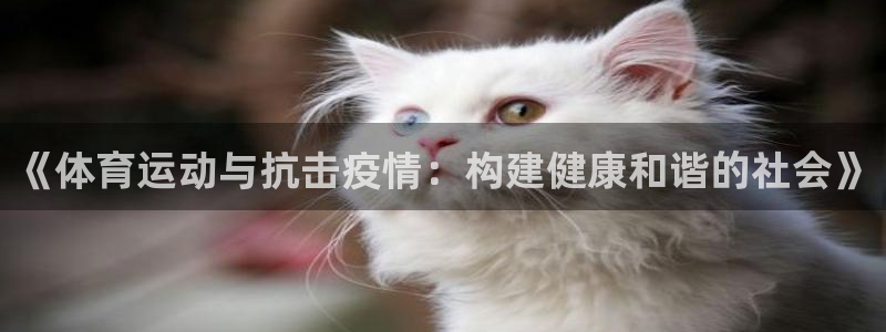 杏运新能源汽车