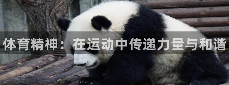 杏运官网