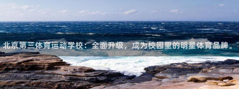杏运体育4