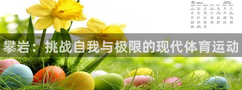 杏运体育app下载