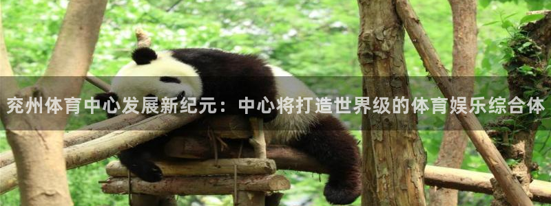 山东杏运新能源汽车有限公司