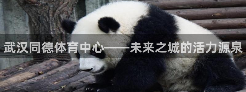 杏运科技