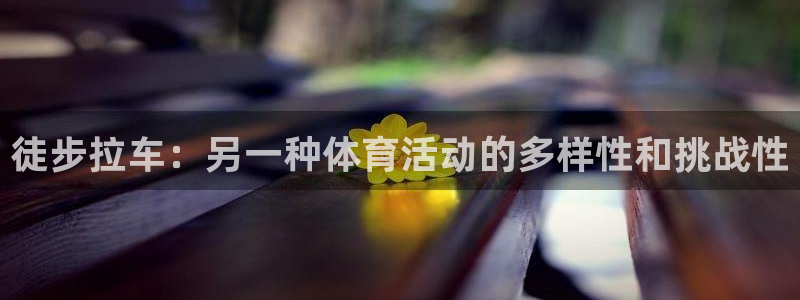 杏运集团官网