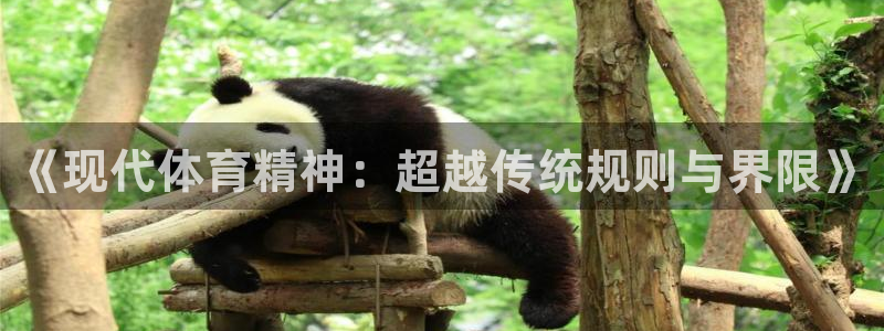 杏运体育游戏