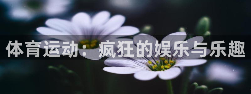 杏运娱乐代理
