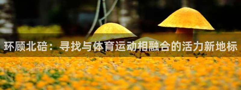 小杏运