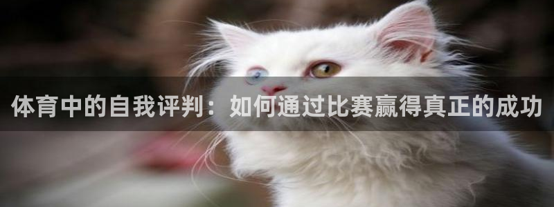 杏运凯捷注册