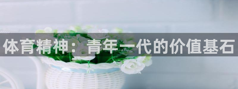 杏运3平台注册
