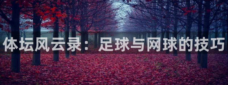 杏运平台开户链接