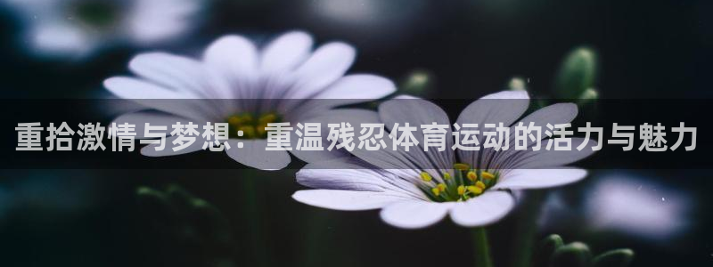 杏运电动汽车多少钱一辆